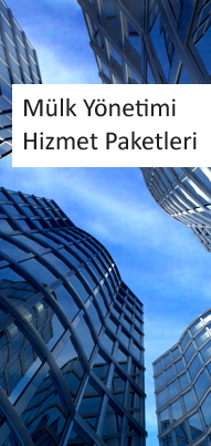Yönetim Hizmetleri